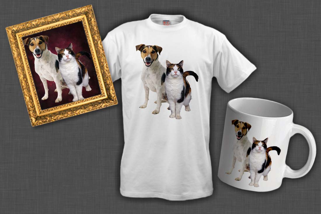 Responsive image